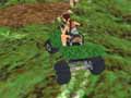 Quad Runner in India
